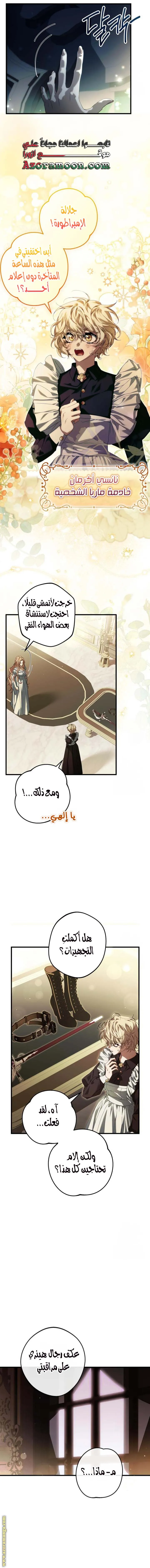 الصفحة 7