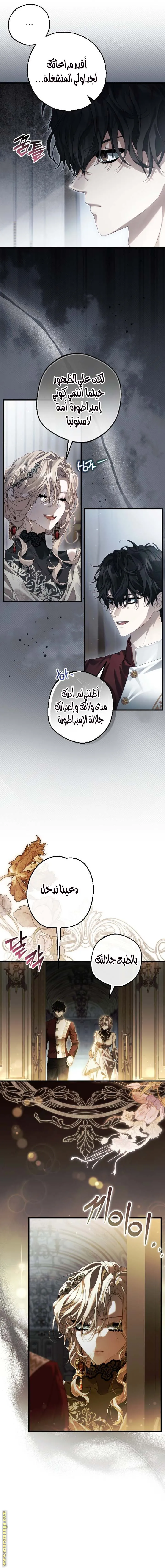 الصفحة 7