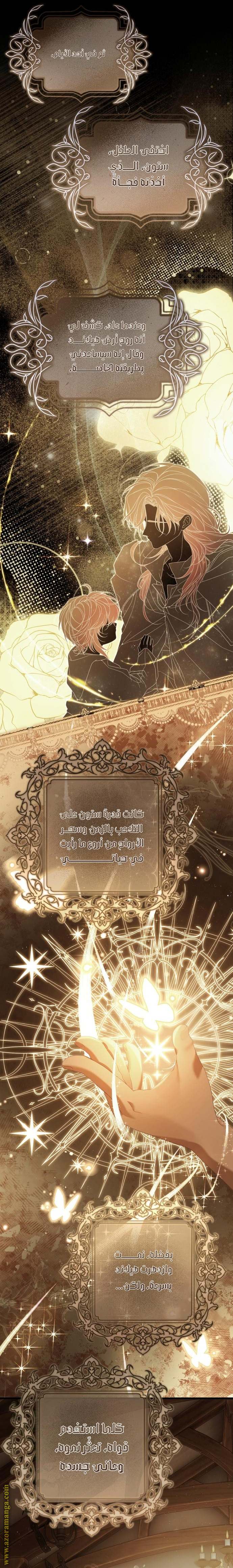 الصفحة 27