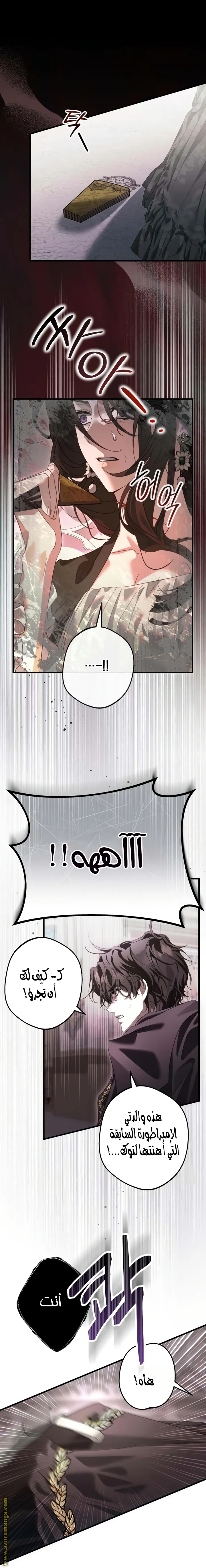 الصفحة 13