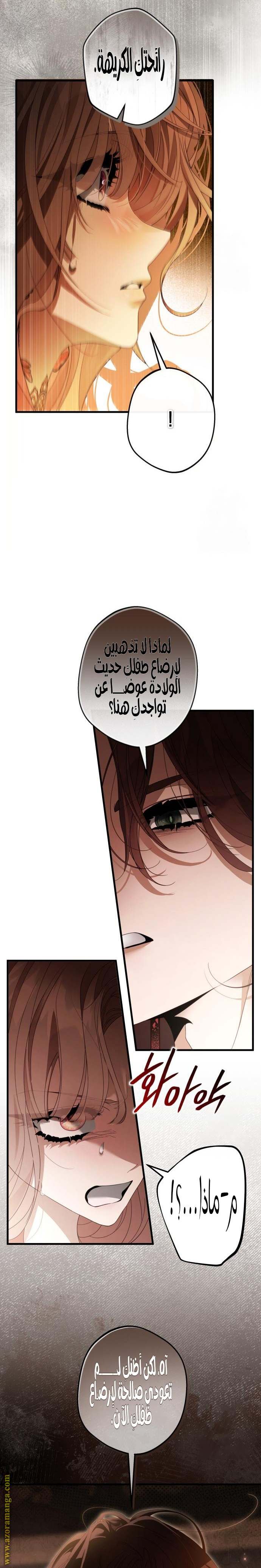 الصفحة 13