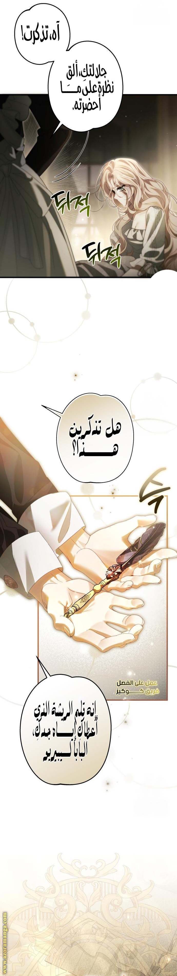 الصفحة 17