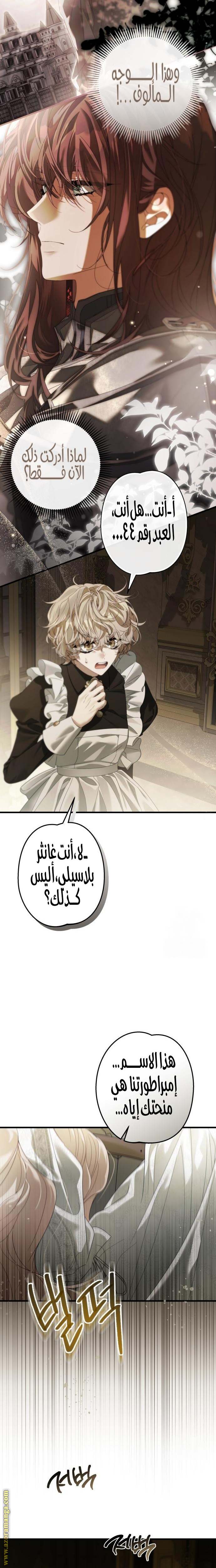 الصفحة 25
