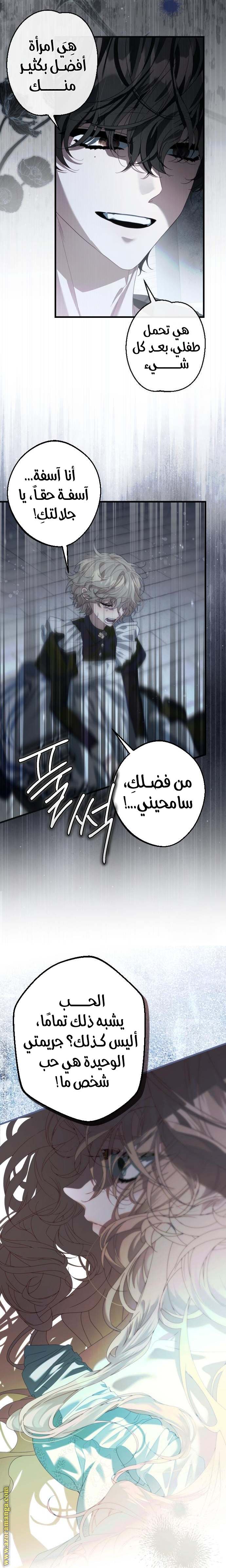 الصفحة 17
