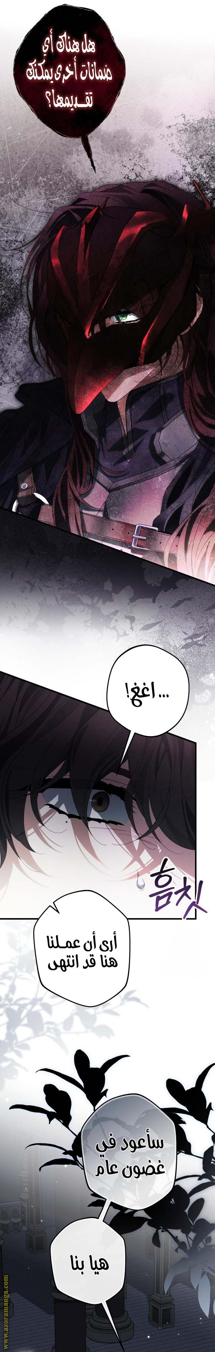 الصفحة 27