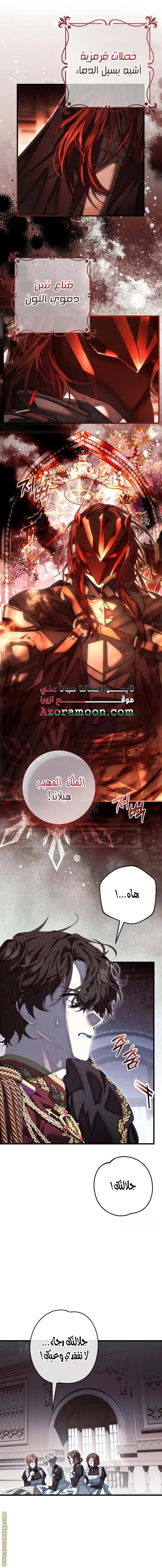 الصفحة 17