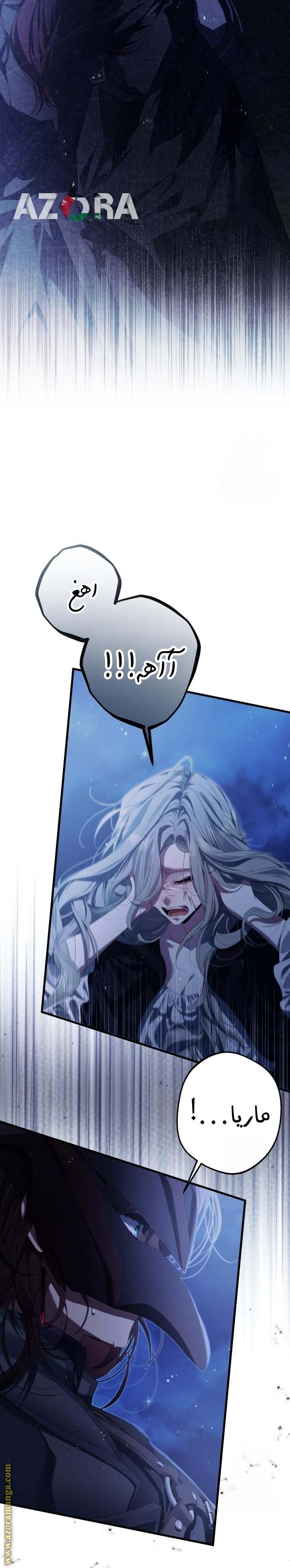 الصفحة 12