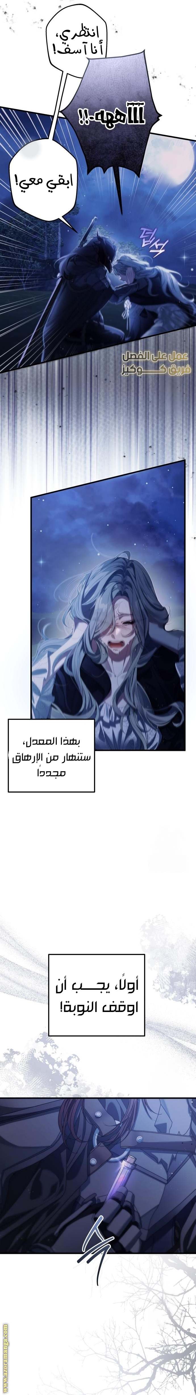 الصفحة 13