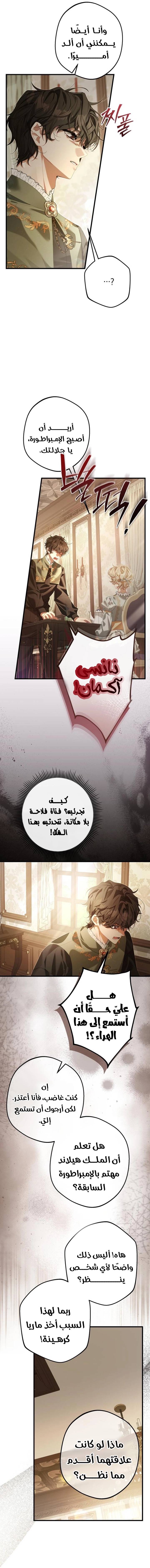 الصفحة 17