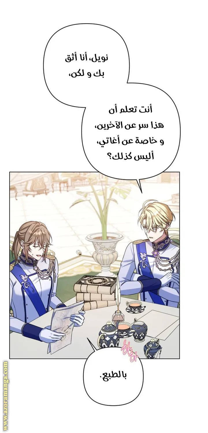 الصفحة 21