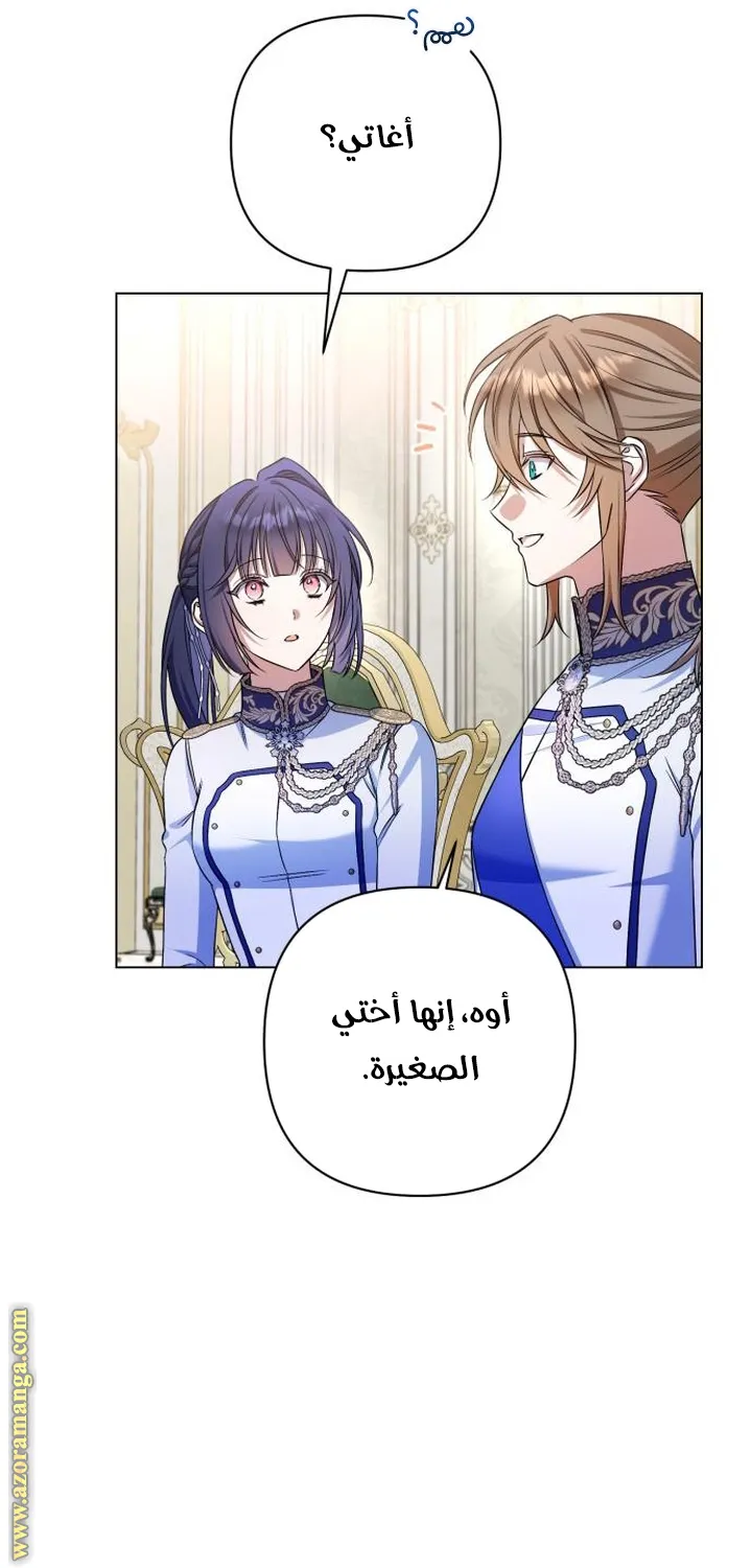 الصفحة 23
