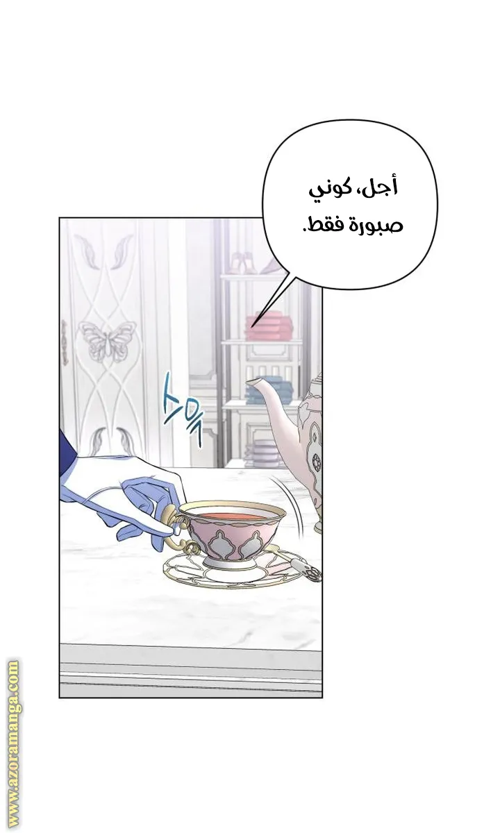 الصفحة 42