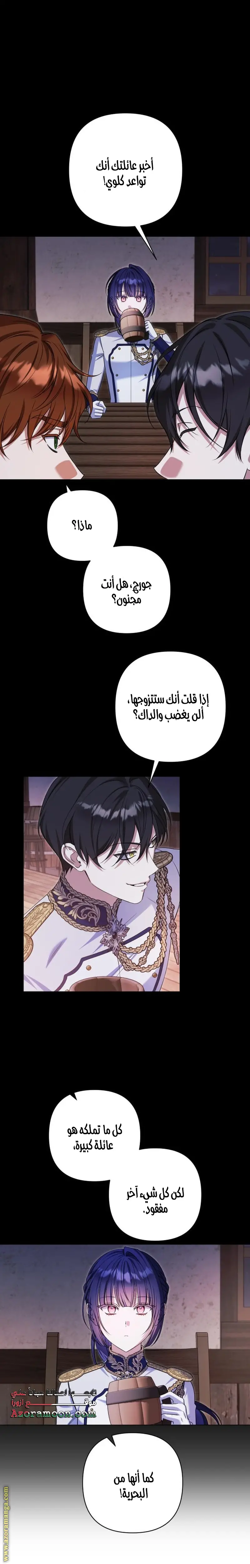 الصفحة 13