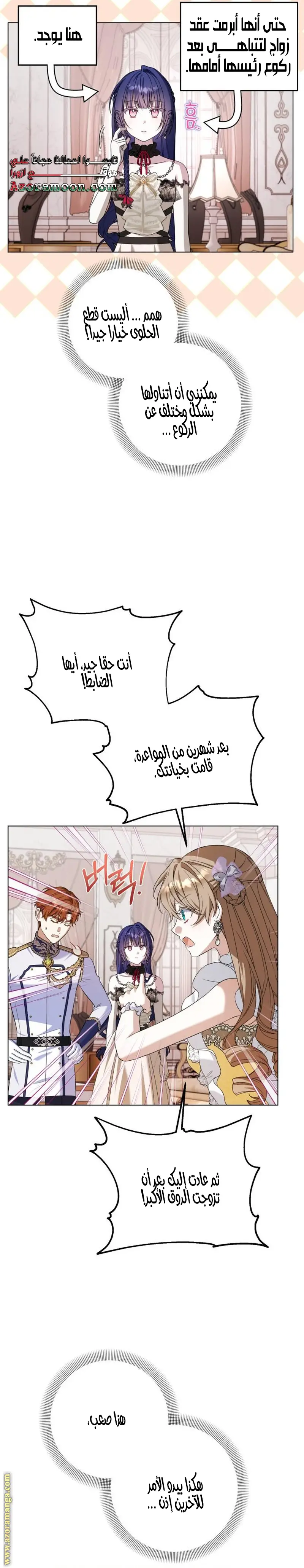 الصفحة 19