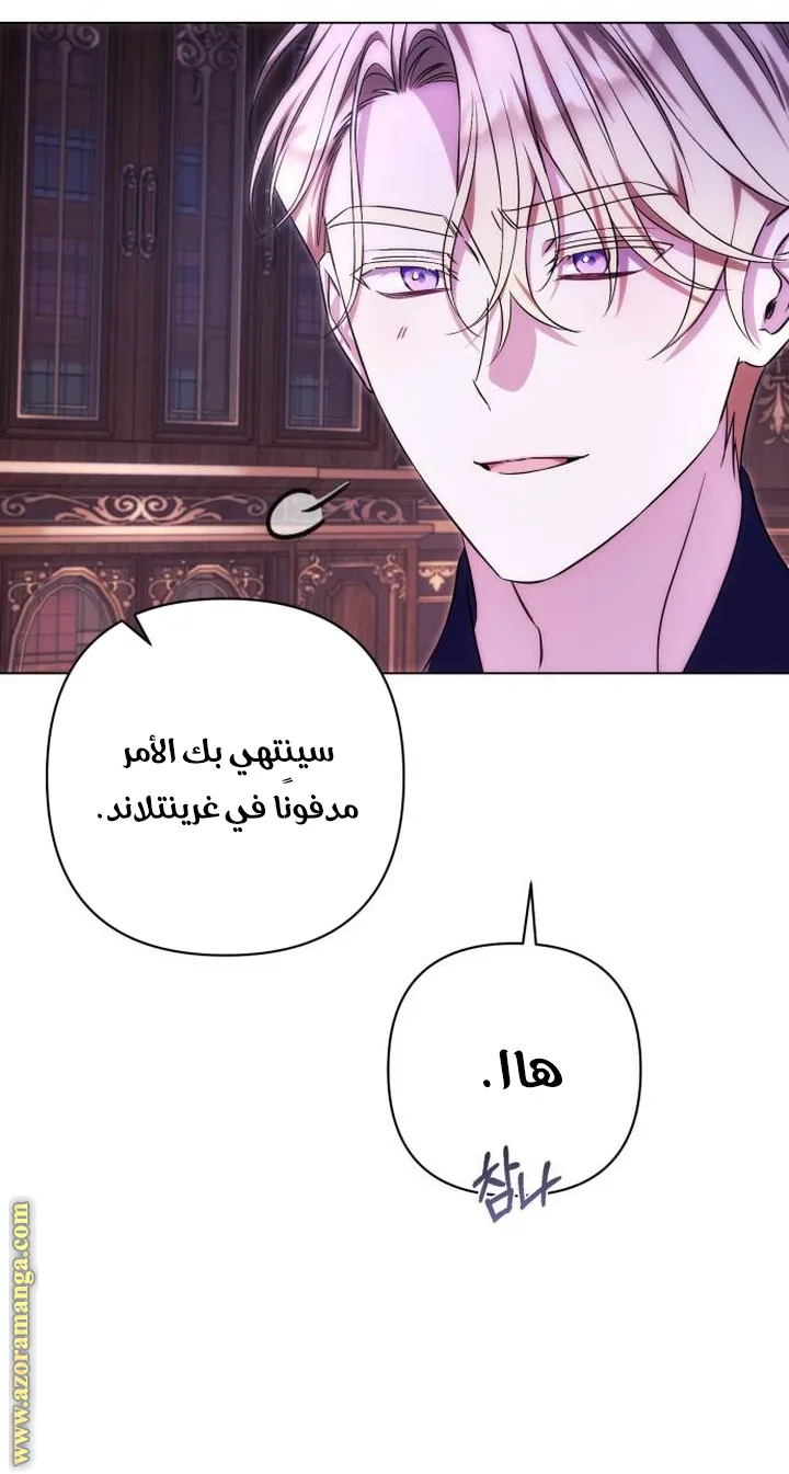 الصفحة 25
