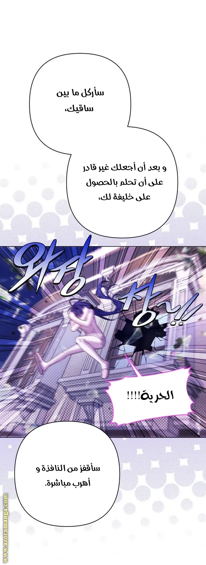 الصفحة 27