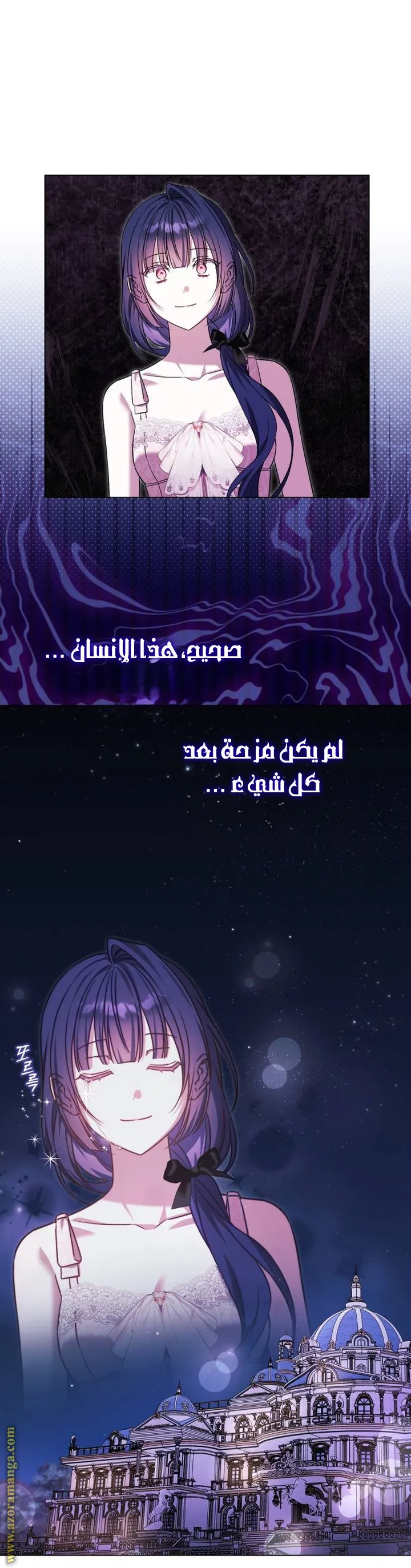 الصفحة 31