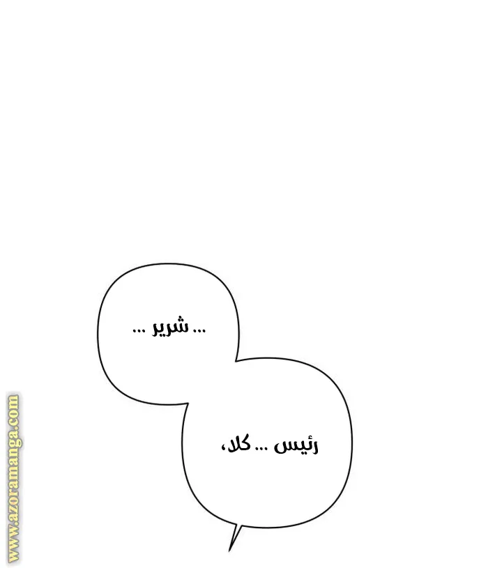 الصفحة 43
