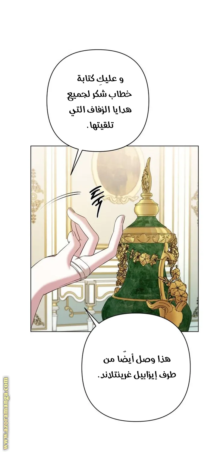 الصفحة 46