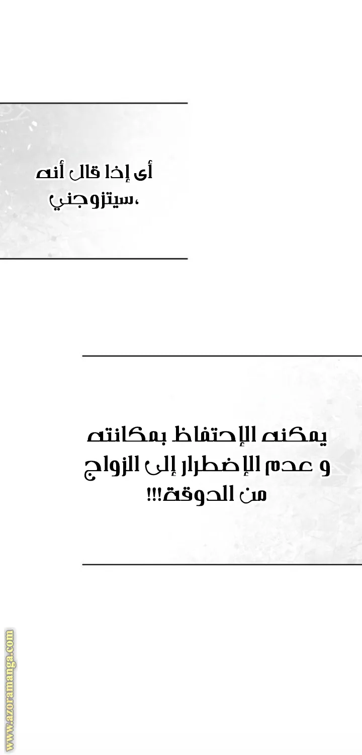 الصفحة 41