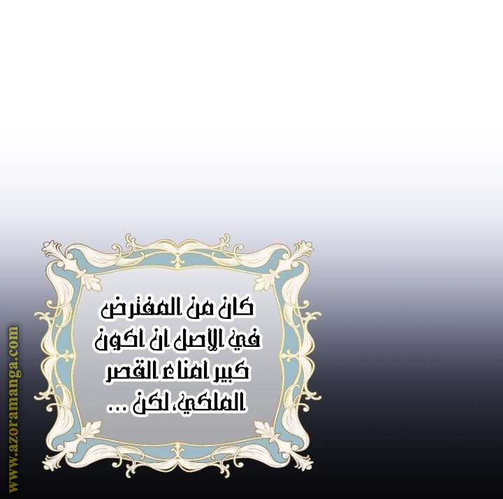 الصفحة 25