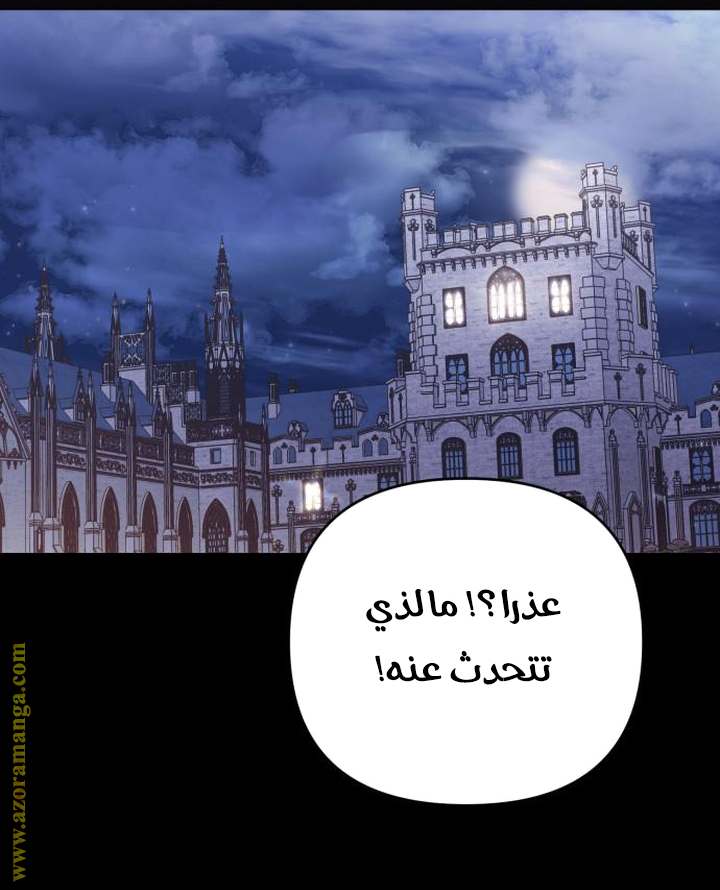 الصفحة 26
