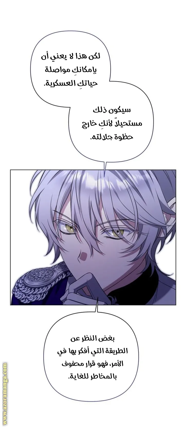 الصفحة 31