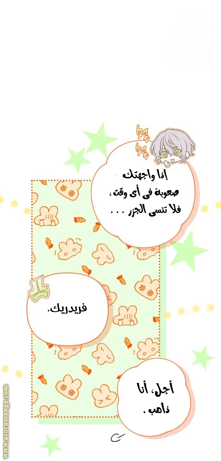 الصفحة 47