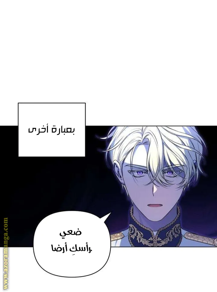 الصفحة 21