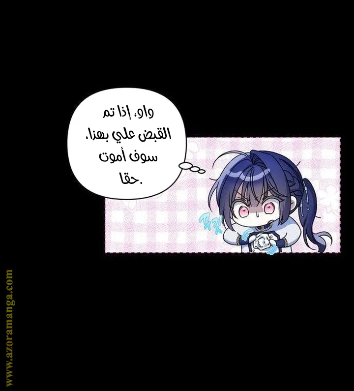 الصفحة 27