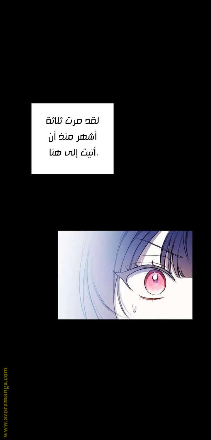 الصفحة 29
