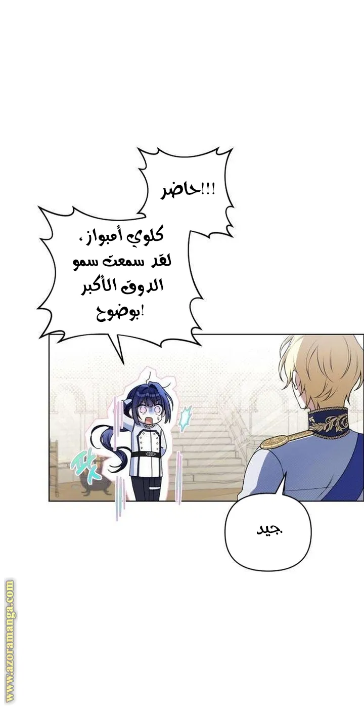 الصفحة 33