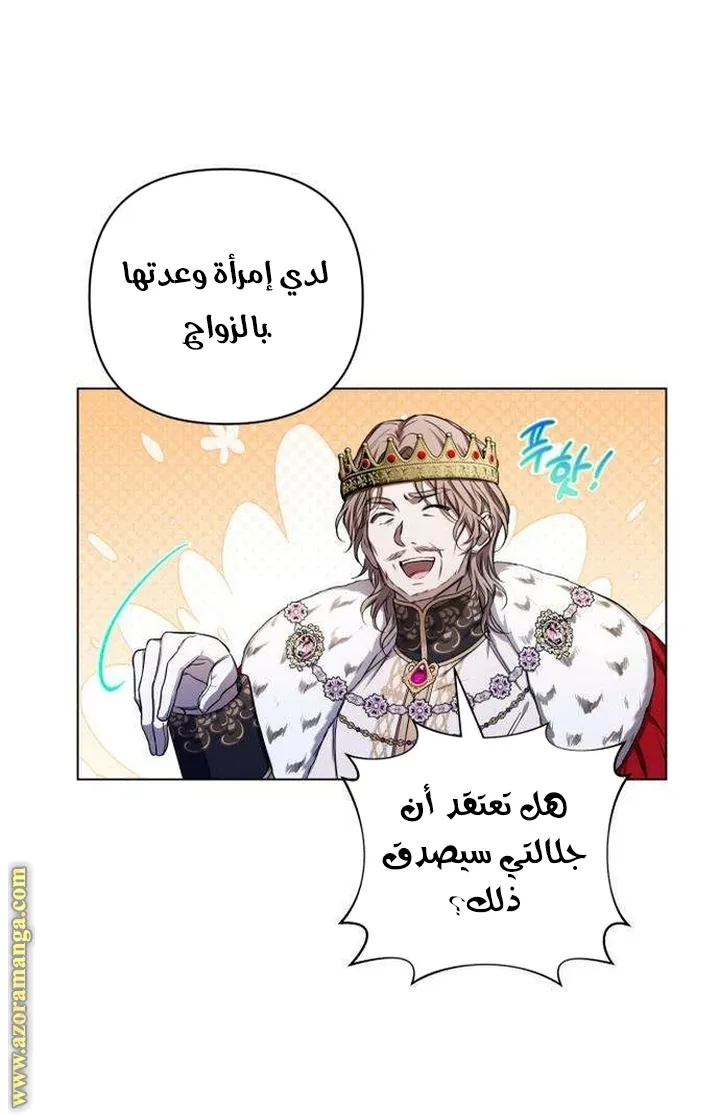 الصفحة 79