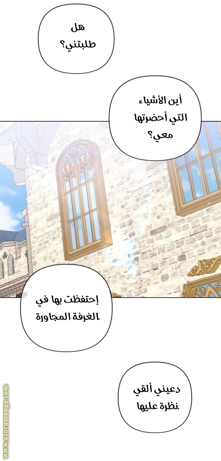 الصفحة 21
