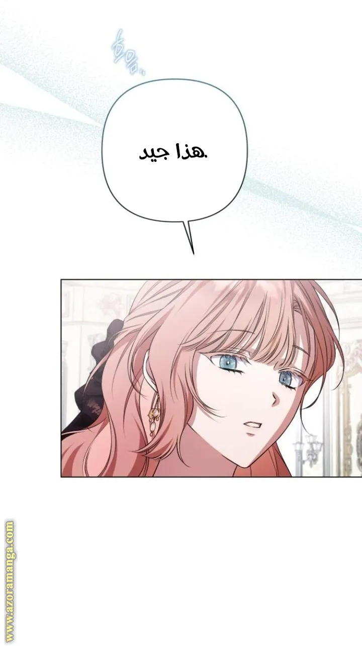 الصفحة 25