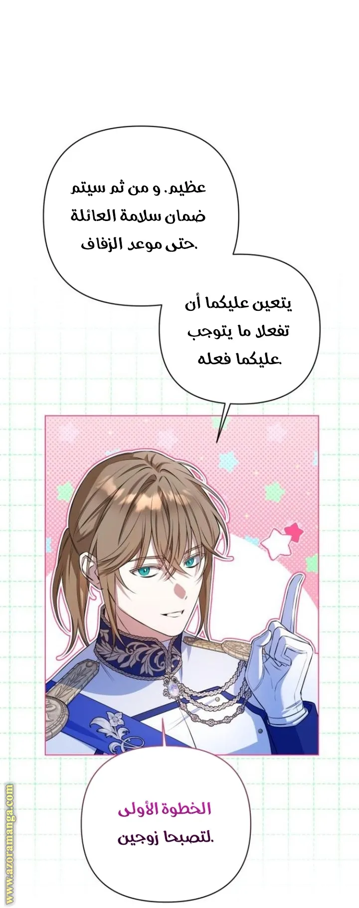 الصفحة 31