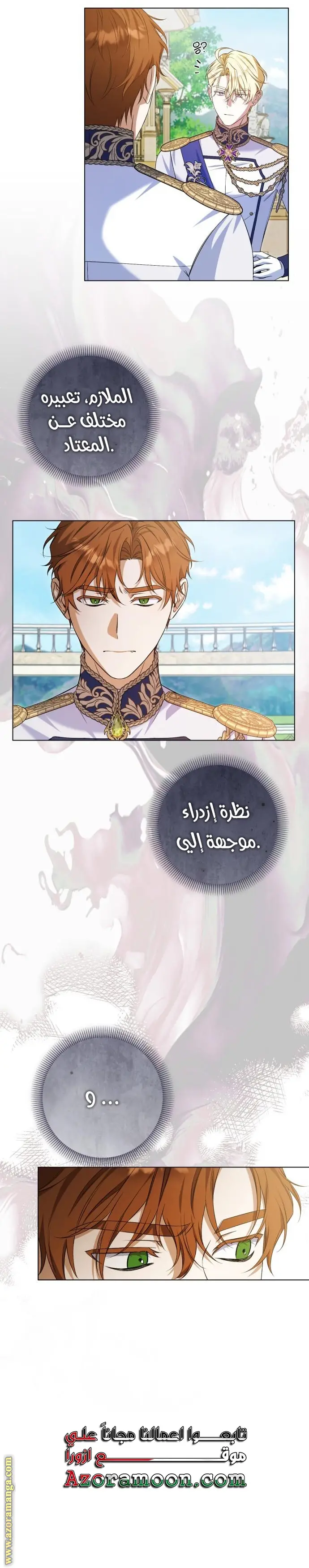 الصفحة 17