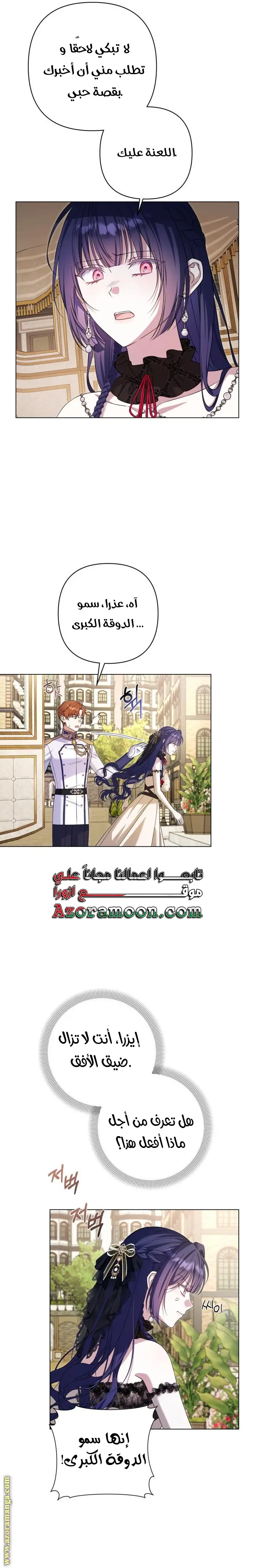 الصفحة 25