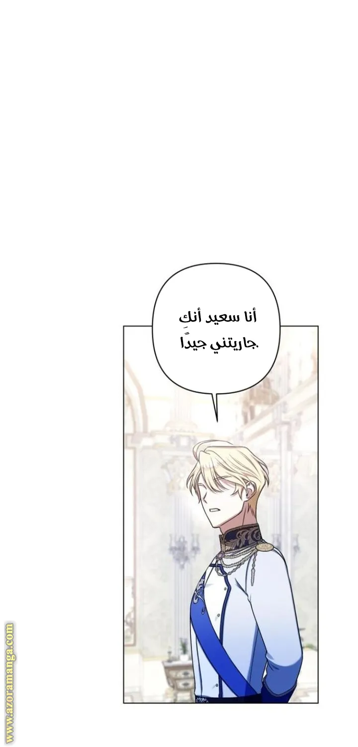 الصفحة 17