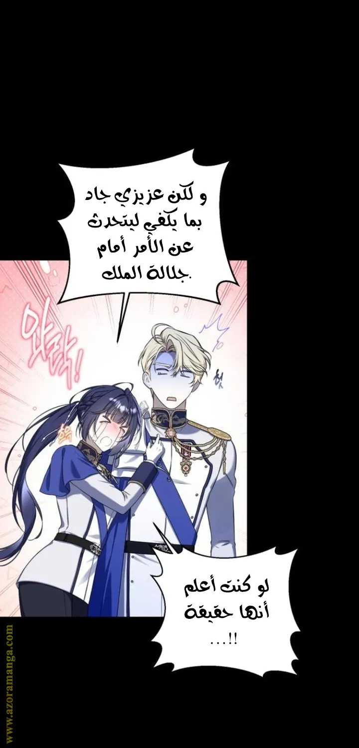 الصفحة 26