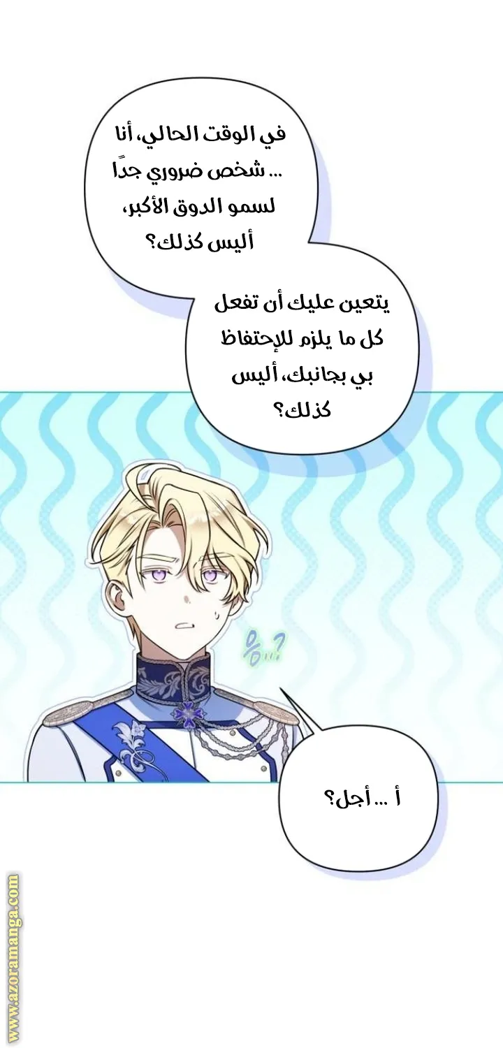الصفحة 52