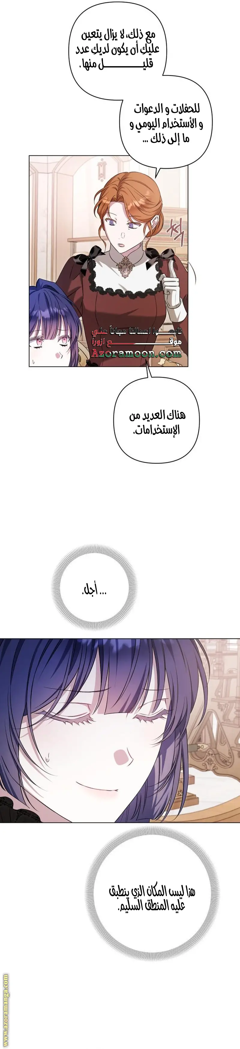 الصفحة 17