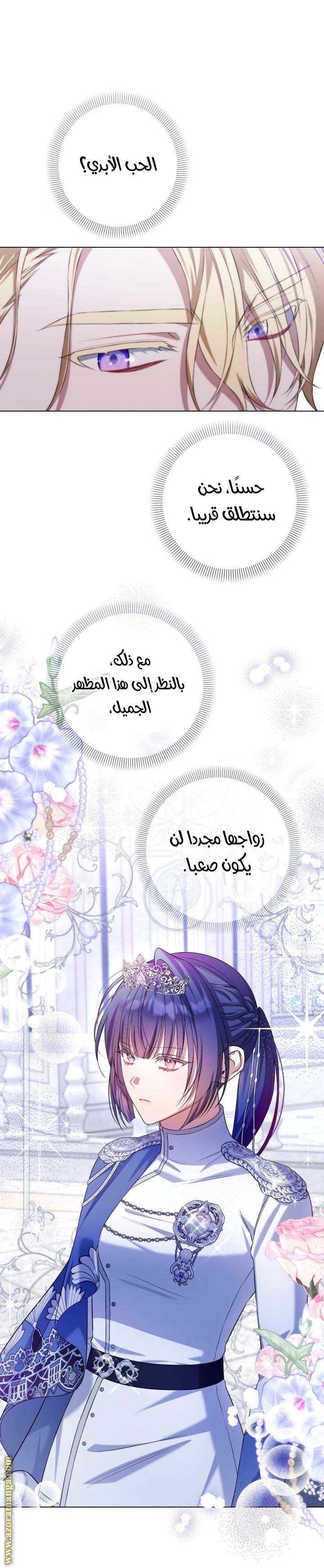 الصفحة 27