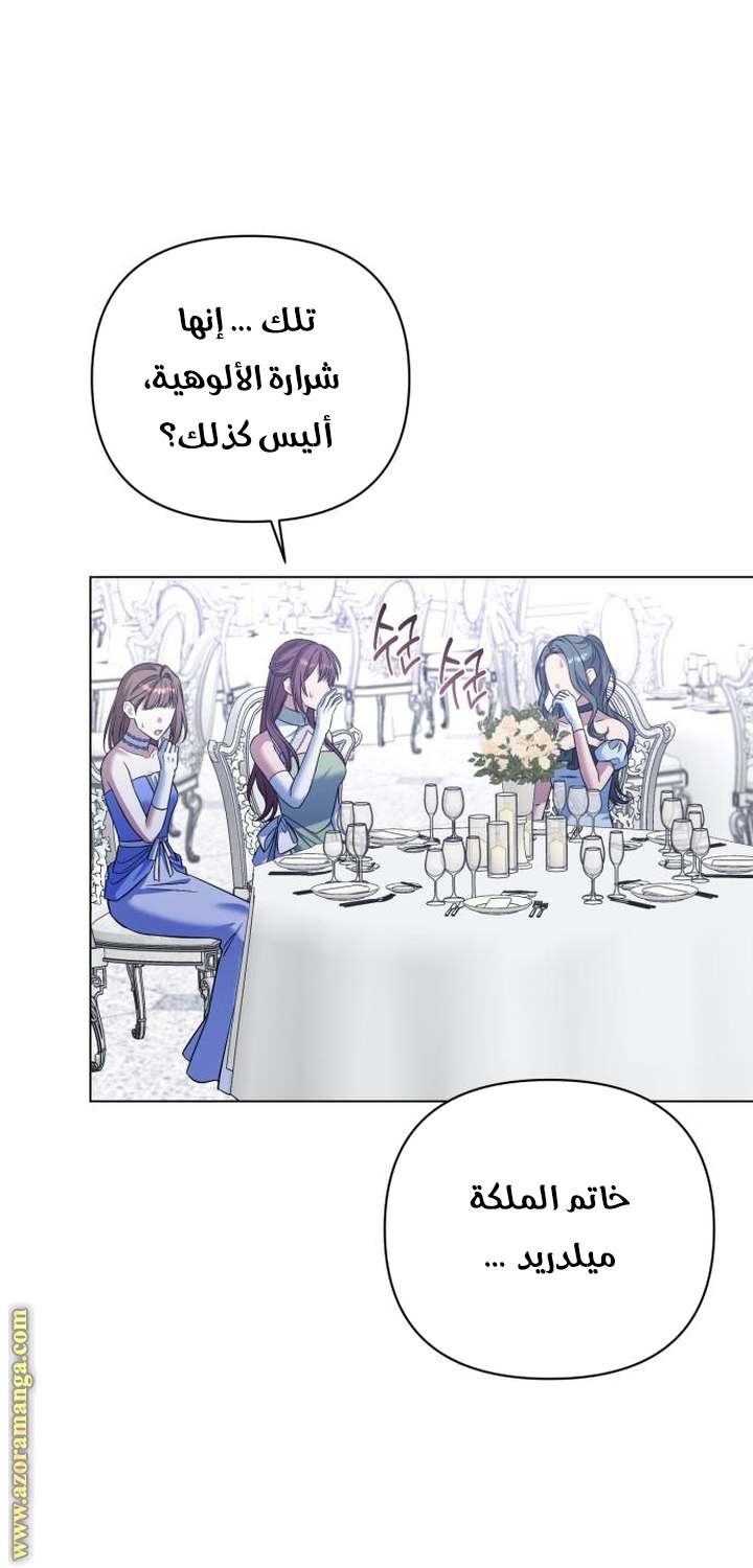 الصفحة 42