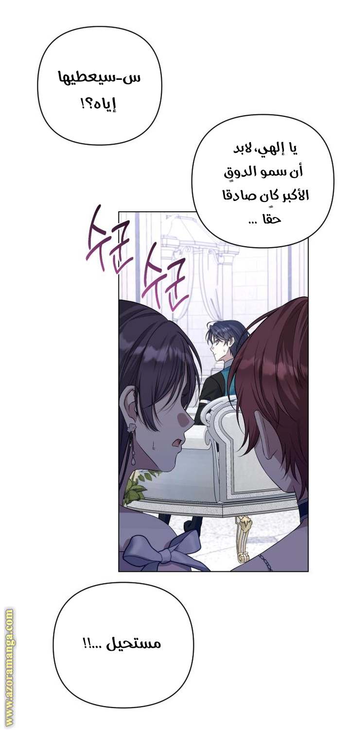 الصفحة 46