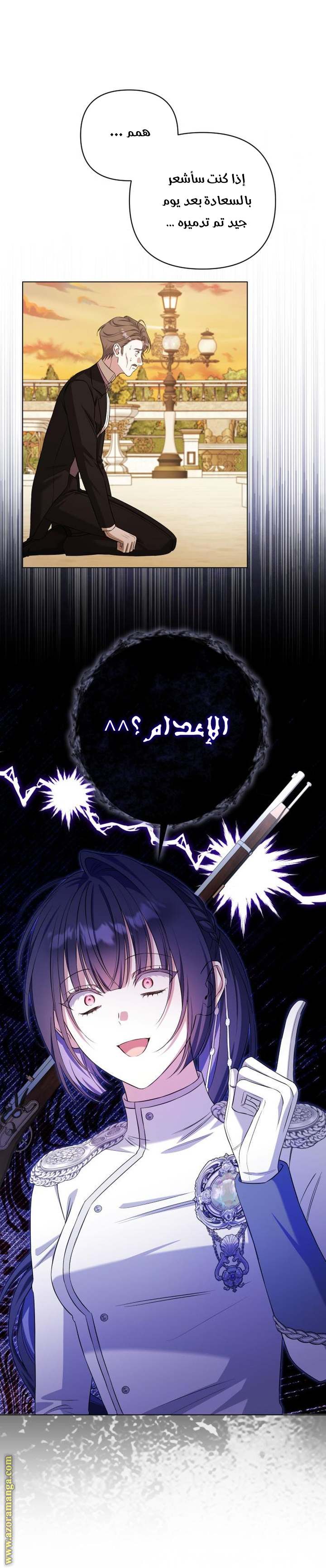 الصفحة 25