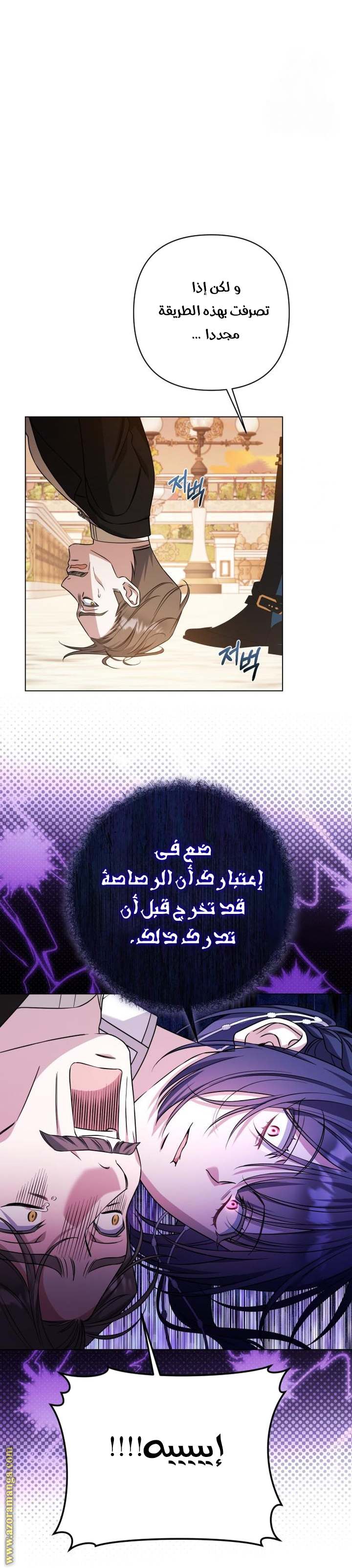 الصفحة 29
