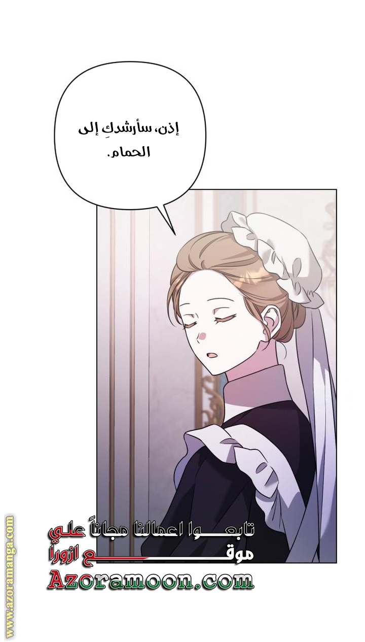 الصفحة 43