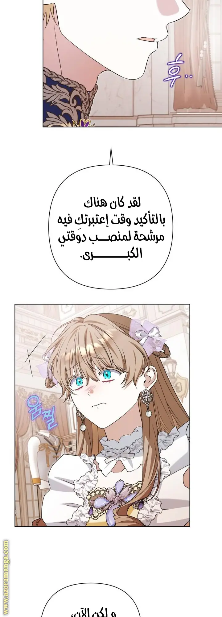 الصفحة 17