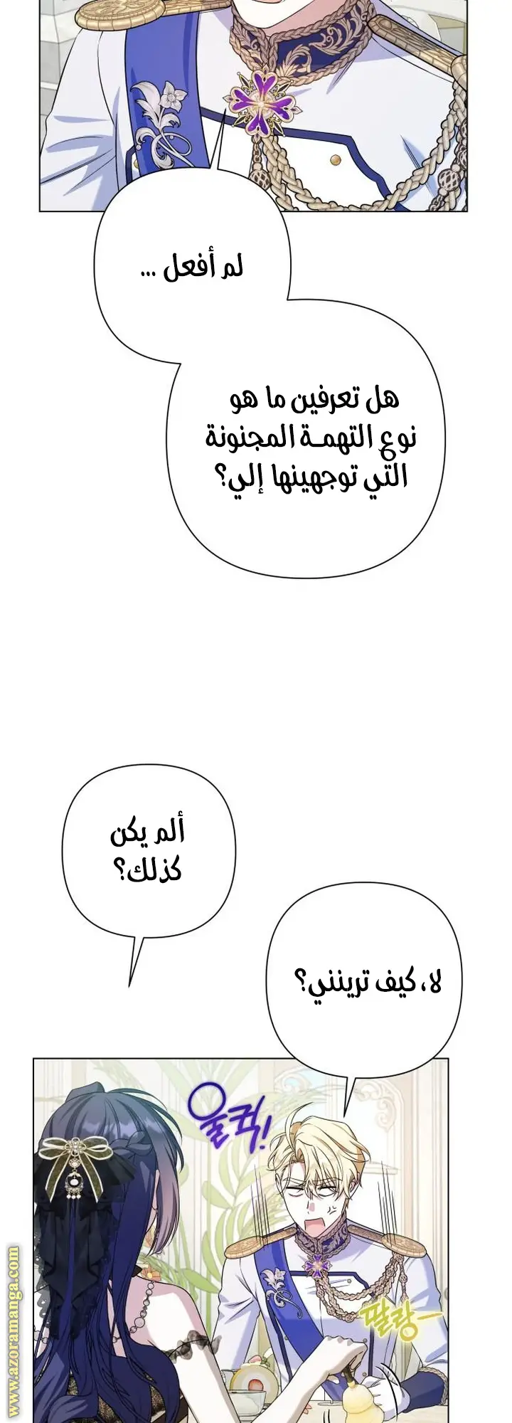 الصفحة 40